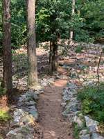 Hundeauslaufgebiet-Walderlebnis Ehrhorn, Erlebnispfad in der Lüneburger Heide.-Bild