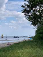 Hundeauslaufgebiet-Hundestrand Krautsand-Bild