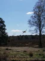 Hundeauslaufgebiet-Büsenbachtal-Bild