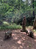 Hundeauslaufgebiet-Walderlebnis Ehrhorn, Erlebnispfad in der Lüneburger Heide.-Bild