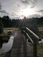 Hundeauslaufgebiet-Büsenbachtal-Bild