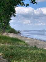 Hundeauslaufgebiet-Hundestrand Krautsand-Bild