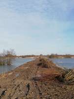 Hundeauslaufgebiet-Vogelschutzgebiet zwischen Drage und Hunden-Bild