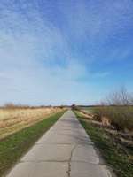 Hundeauslaufgebiet-Vogelschutzgebiet zwischen Drage und Hunden-Bild