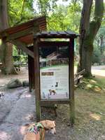 Hundeauslaufgebiet-Walderlebnis Ehrhorn, Erlebnispfad in der Lüneburger Heide.-Bild