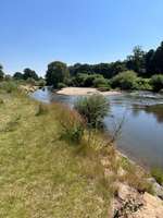 Hundeauslaufgebiet-Hundestrand am Sielpark-Bild