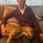 Ersteller:in Thomas Profilbild