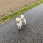 Ersteller:in Nancy Profilbild