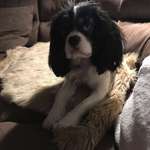 Ersteller:in Max Profilbild