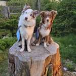 Ersteller:in Jazmin Profilbild