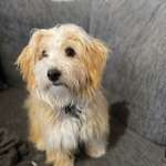 Ersteller:in Sarah Profilbild