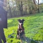 Ersteller:in Katerina Profilbild