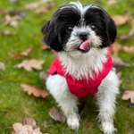 Ersteller:in Denise Profilbild