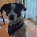 Ersteller:in Manuel Profilbild