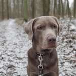 Ersteller:in Thomas Profilbild