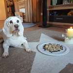 Ersteller:in Nadja Profilbild