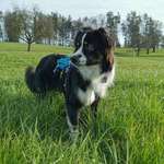 Ersteller:in Denise Profilbild