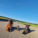 Ersteller:in W. Profilbild