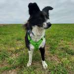 Ersteller:in Nina Profilbild