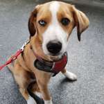 Ersteller:in Evelyne Profilbild