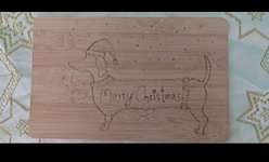 mit Liebe gezeichnete Fellnasen-Portaits-Beitrag-Bild