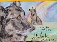 Ich zeichne deine Fellnase-Beitrag-Bild