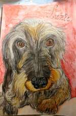 mit Liebe gezeichnete Fellnasen-Portaits-Beitrag-Bild