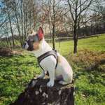 Ersteller:in Christofer Profilbild