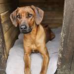 Ersteller:in Ramona Profilbild