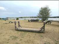 Hundeauslaufgebiet-Kleiner Brommbachsee-Bild