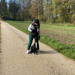 Ersteller:in Elena Profilbild