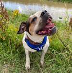 Ersteller:in Kim Profilbild