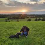 Ersteller:in Fabian Profilbild
