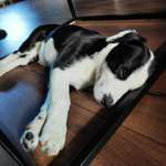 Ersteller:in Luna Profilbild