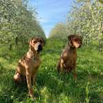 Ersteller:in Hendrik Profilbild