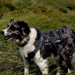 Ersteller:in Leonie Profilbild