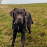 Ersteller:in Lena-Maria Profilbild