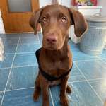 Ersteller:in Jana Profilbild