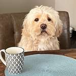 Ersteller:in Silke Profilbild