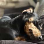 Ersteller:in Ronny Profilbild