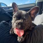 Ersteller:in Antonia Profilbild