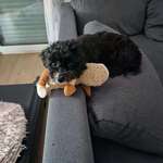 Ersteller:in Tigi Profilbild