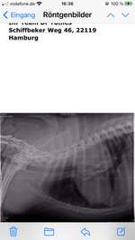 Ich hätte gerne eine Auskunft über die Röntgenbilder von Ihnen Was sehen Sie darauf Es ist wichtig-Beitrag-Bild