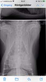 Ich hätte gerne eine Auskunft über die Röntgenbilder von Ihnen Was sehen Sie darauf Es ist wichtig-Beitrag-Bild