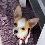 Ersteller:in Lisa Profilbild