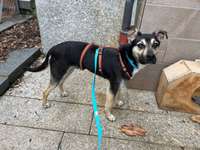 Suchmeldung-Kasper-Bild