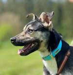 Suchmeldung-Kasper-Bild