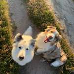 Ersteller:in Darine Profilbild