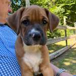 Ersteller:in Anke Profilbild