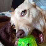 Ersteller:in djLordi Profilbild